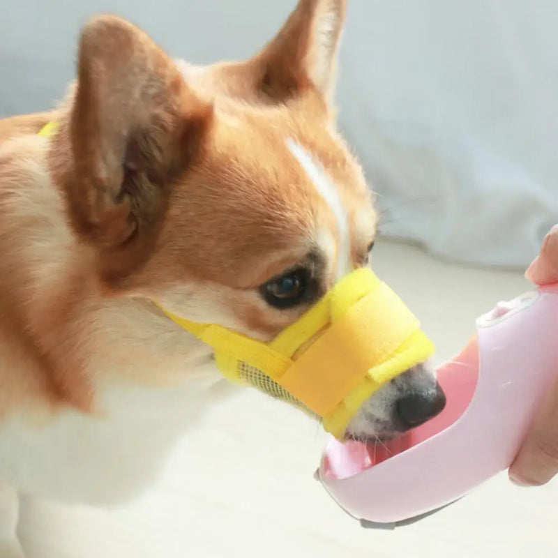 Focinho Anti-Latido para Cão, Malha Ajustável, Respirável, Anti-Morder, Fornecimento para Pets, Pequenos, Médios e Grandes Cães