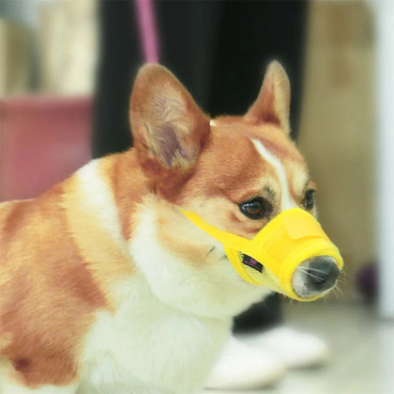 Focinho Anti-Latido para Cão, Malha Ajustável, Respirável, Anti-Morder, Fornecimento para Pets, Pequenos, Médios e Grandes Cães